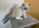 boyIMG_7692