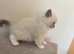 boyIMG_7694
