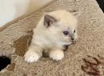kjubiIMG_7670