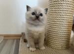 blazeIMG_7718