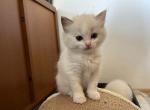 bicoIMG_7741